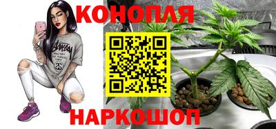 стаф Канаш