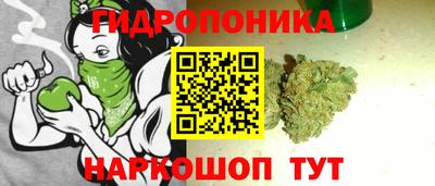 ALPHA-PVP Камышлов