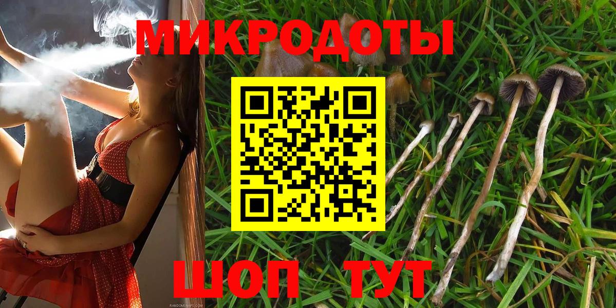 Псилоцибиновые грибы Psilocybine cubensis  Вход с VPN  Лениногорск  Псилоцибиновые грибы мухоморы 