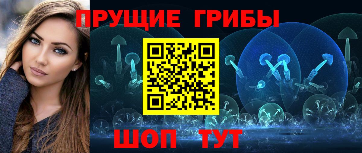 Псилоцибиновые грибы Cubensis Лениногорск